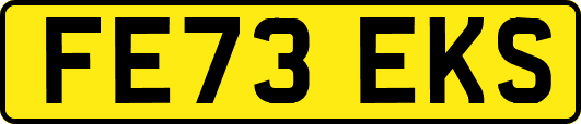 FE73EKS