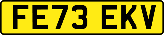 FE73EKV