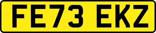 FE73EKZ