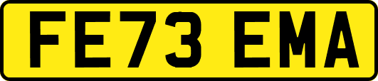 FE73EMA
