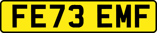 FE73EMF