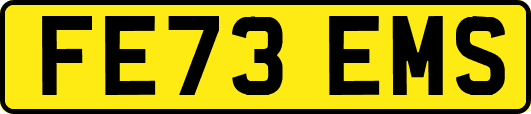 FE73EMS