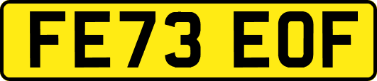 FE73EOF