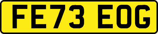 FE73EOG