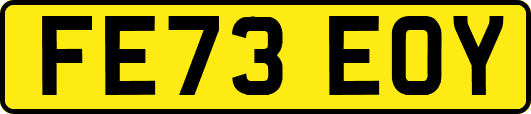 FE73EOY