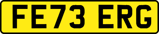 FE73ERG