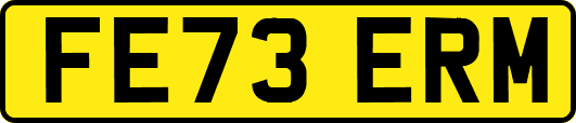 FE73ERM