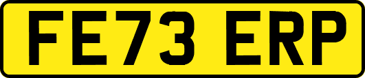 FE73ERP