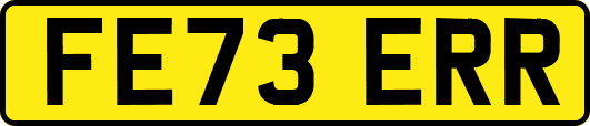 FE73ERR