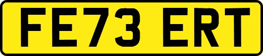 FE73ERT