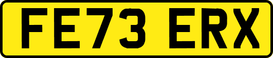 FE73ERX
