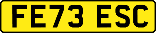 FE73ESC
