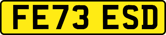 FE73ESD