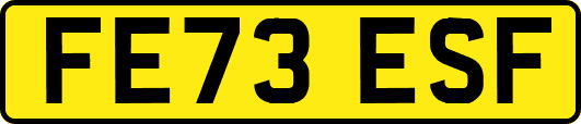 FE73ESF