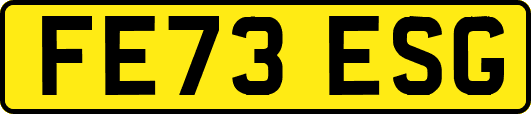 FE73ESG