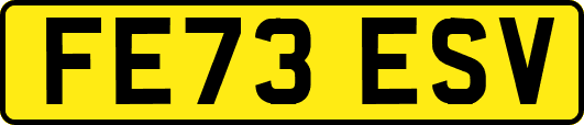 FE73ESV