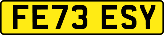 FE73ESY