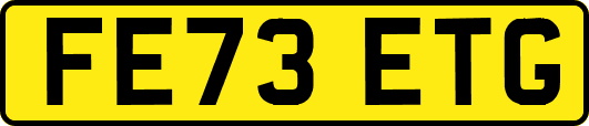 FE73ETG