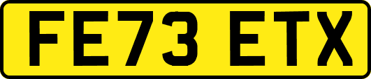 FE73ETX