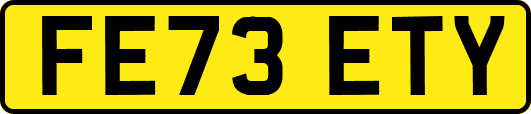 FE73ETY