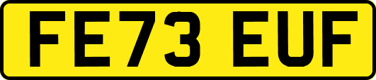 FE73EUF