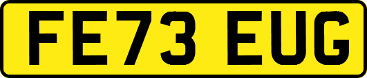 FE73EUG