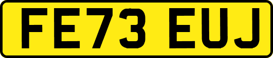 FE73EUJ