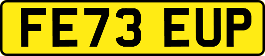 FE73EUP