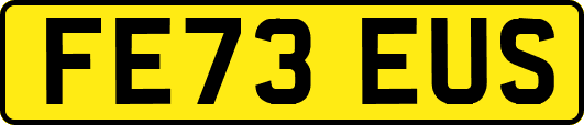 FE73EUS