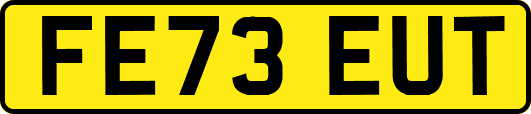 FE73EUT