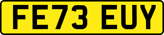 FE73EUY