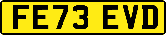 FE73EVD