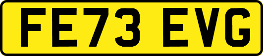 FE73EVG