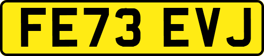 FE73EVJ