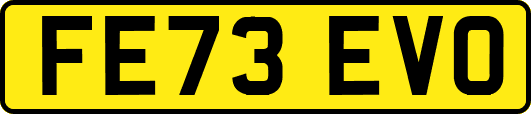 FE73EVO