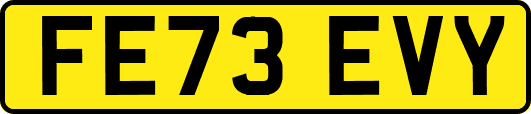 FE73EVY