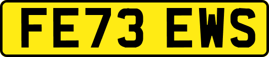 FE73EWS
