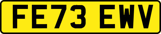 FE73EWV