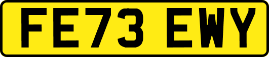FE73EWY