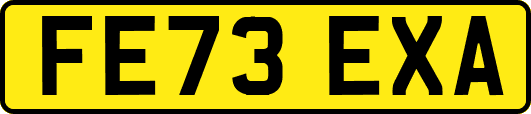 FE73EXA