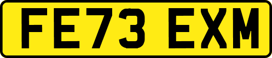 FE73EXM