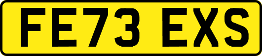FE73EXS