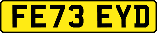 FE73EYD