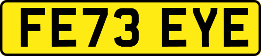 FE73EYE