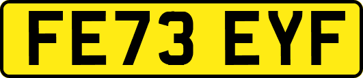FE73EYF