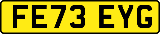 FE73EYG