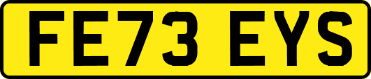 FE73EYS