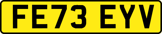 FE73EYV