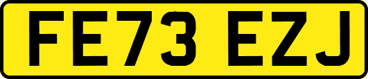FE73EZJ
