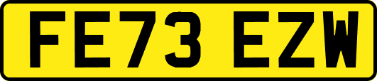 FE73EZW